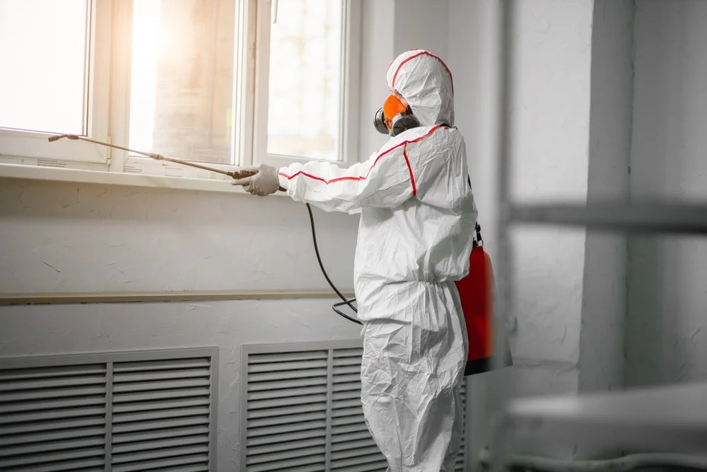 Professional mold remediation services in West Orange, NJ